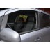 Авточехлы Автопилот для Opel Zafira B в Калининграде